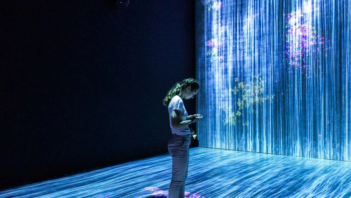 Computer Vision Systems